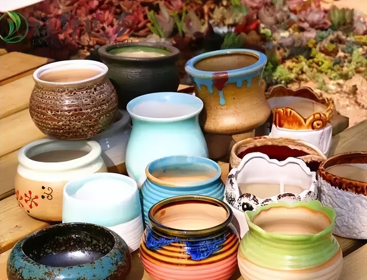 养花用陶瓷盆还是紫砂盆好,塑料盆和陶盆的优缺点