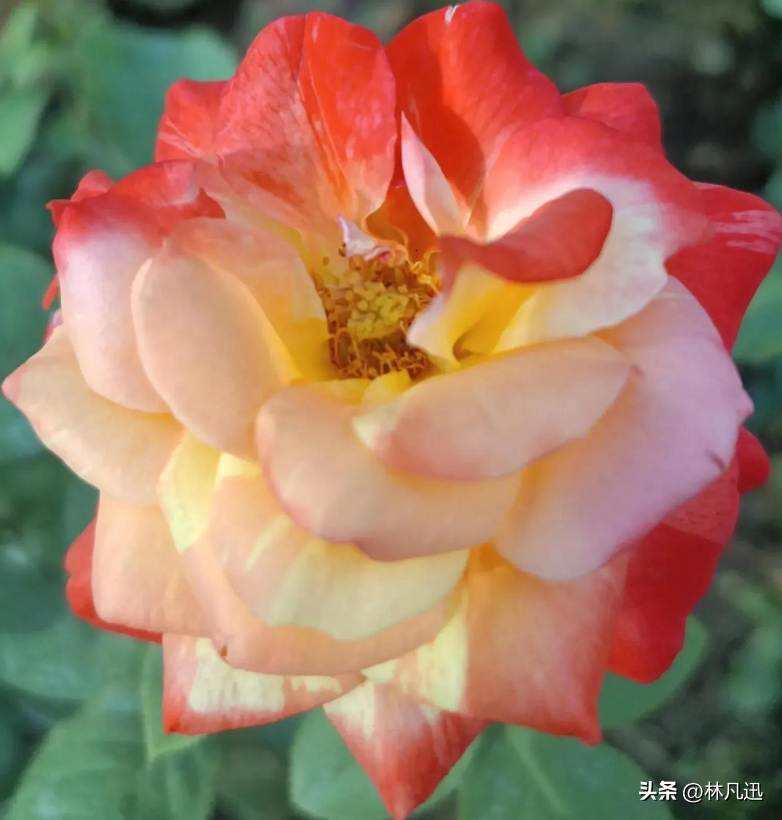 伯乐和千里马之间的关系,伯乐与千里马创业