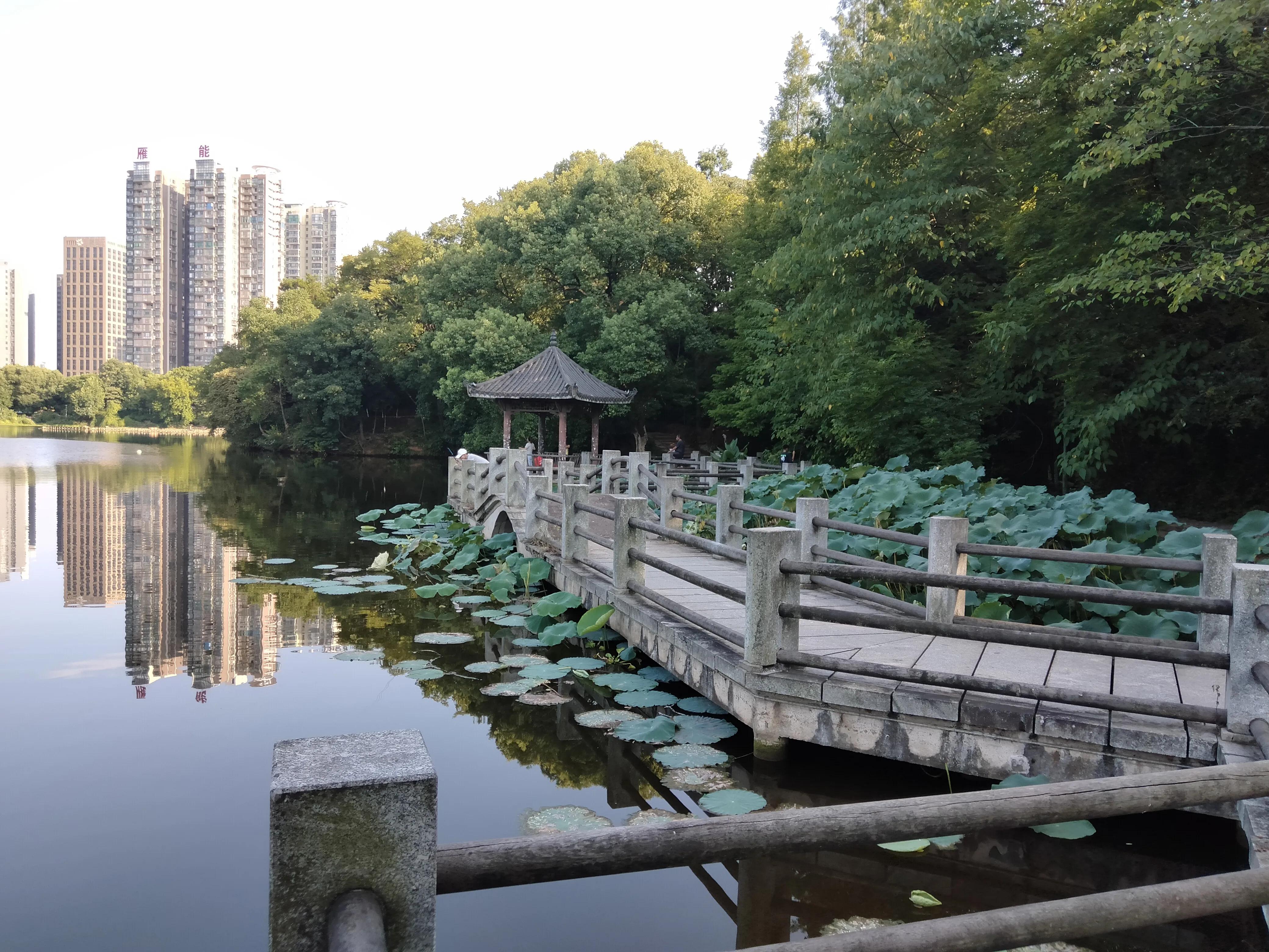 平湖明湖公园攻略,平湖公园免费景点