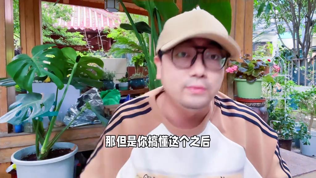 玄凤鹦鹉允许主人摸头代表什么,玄凤鹦鹉可以上手但不让摸头