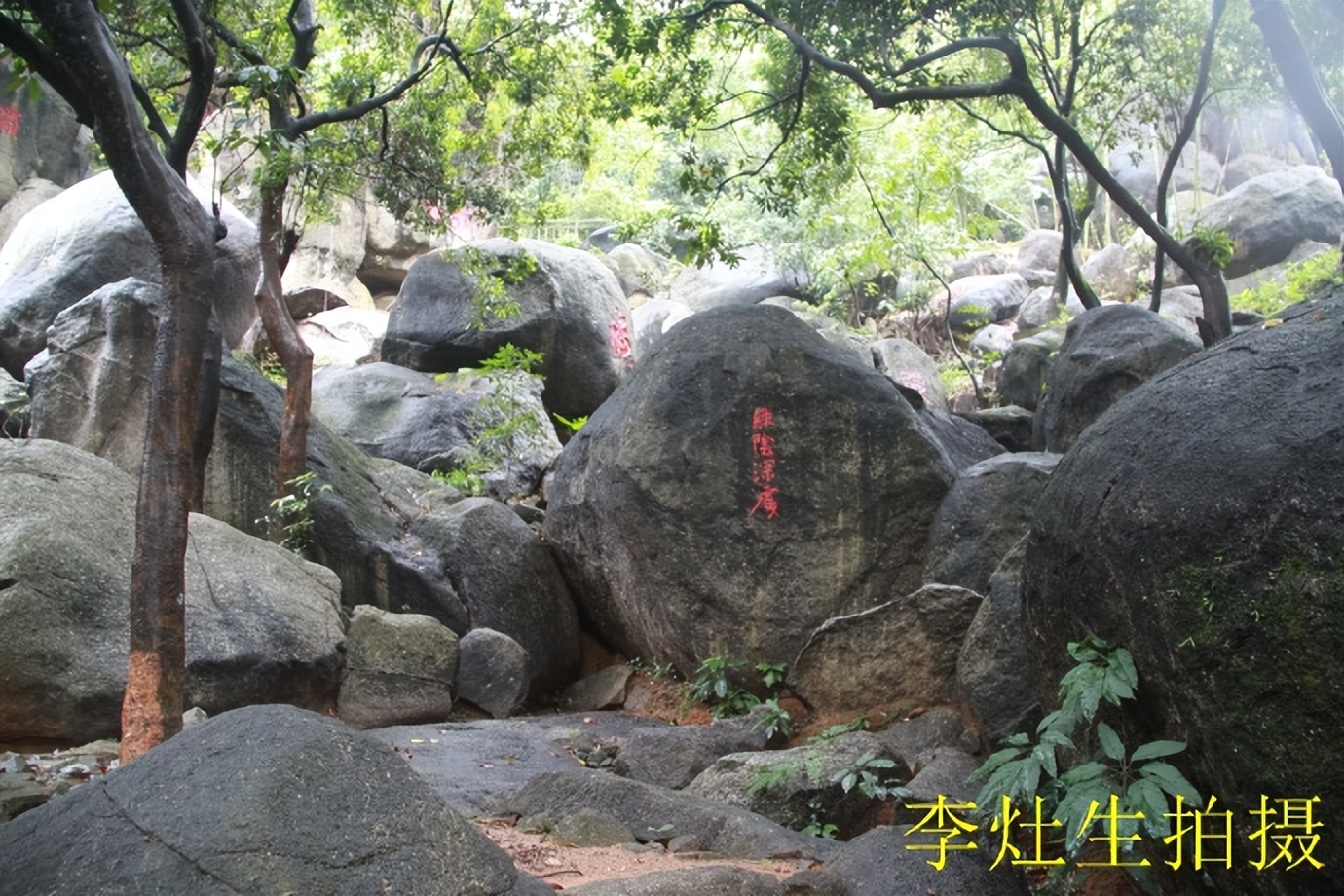 杨四将军庙简介,杨四将军庙在哪个位置