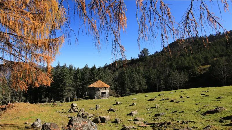 雅安暑假游攻略最佳线路,雅安必玩