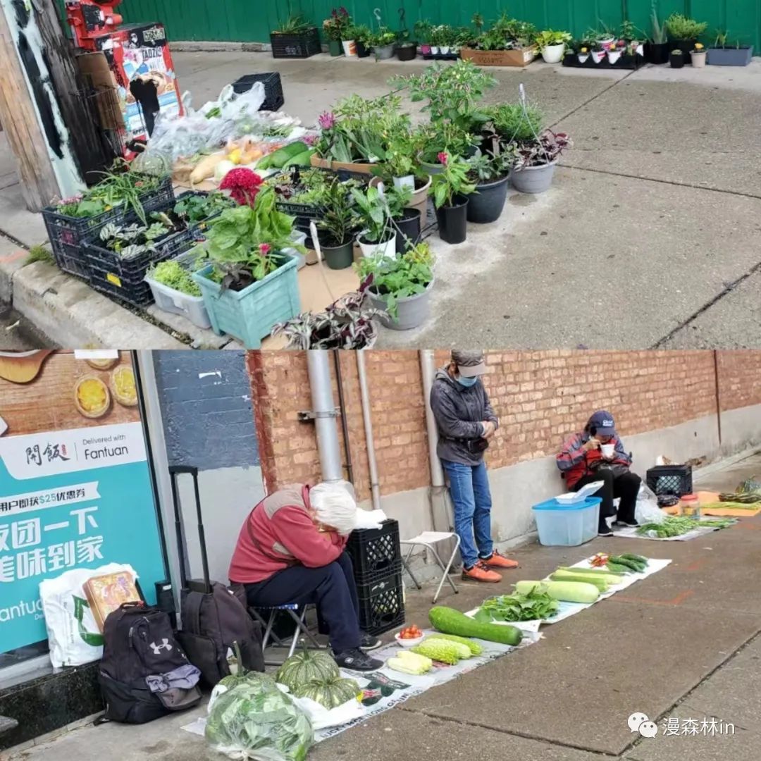 哇哦!原来美国大城市也有人摆地摊卖菜
