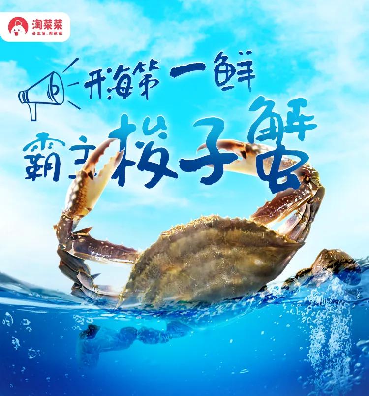 东海开渔宁波,东海开渔上岛