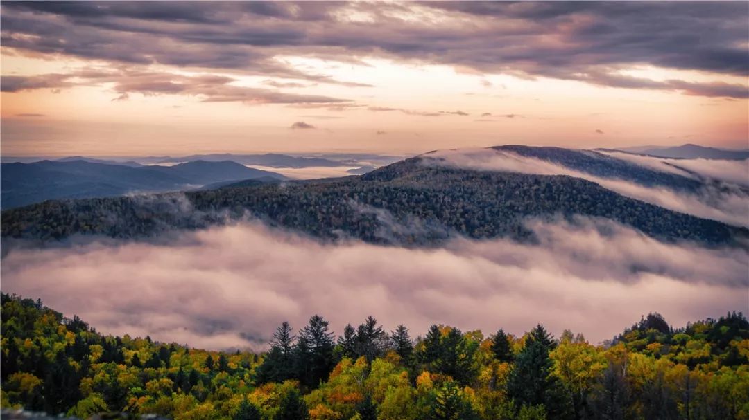 大美依兰,大美依兰游玩视频