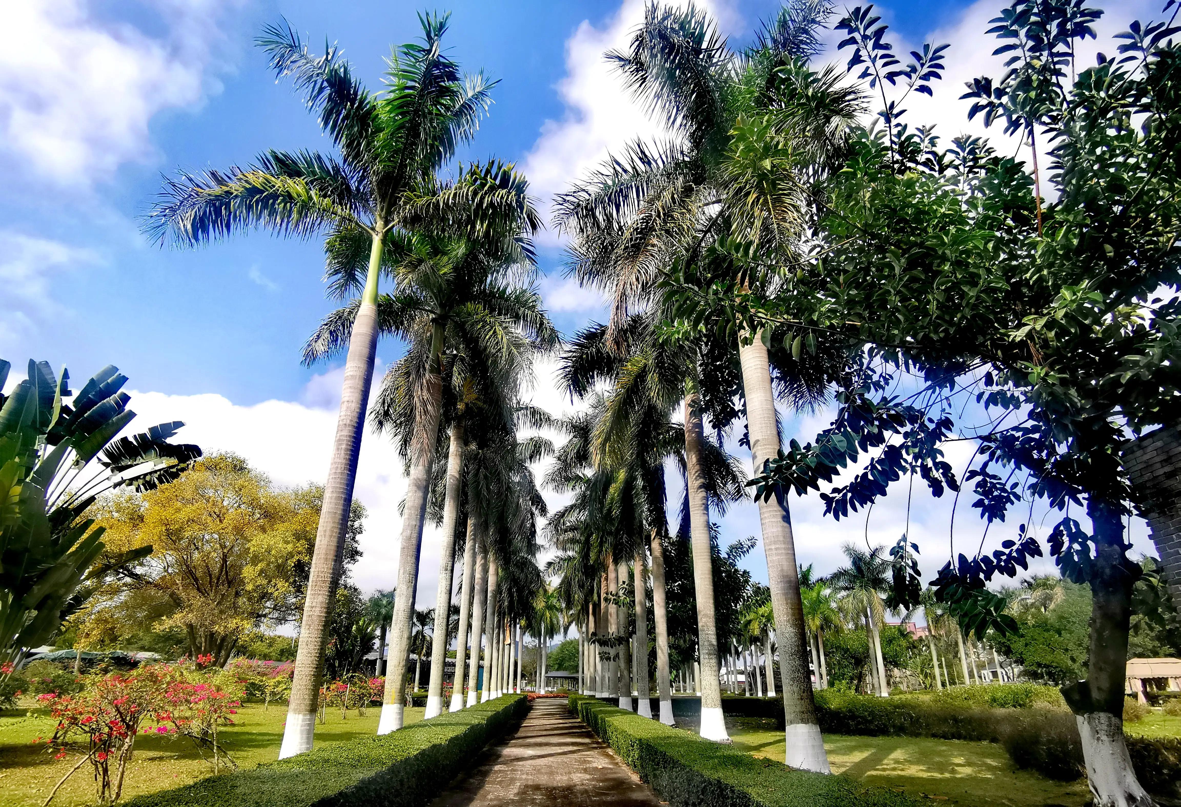 梅溪牌坊简介,珠海梅溪牌坊来历