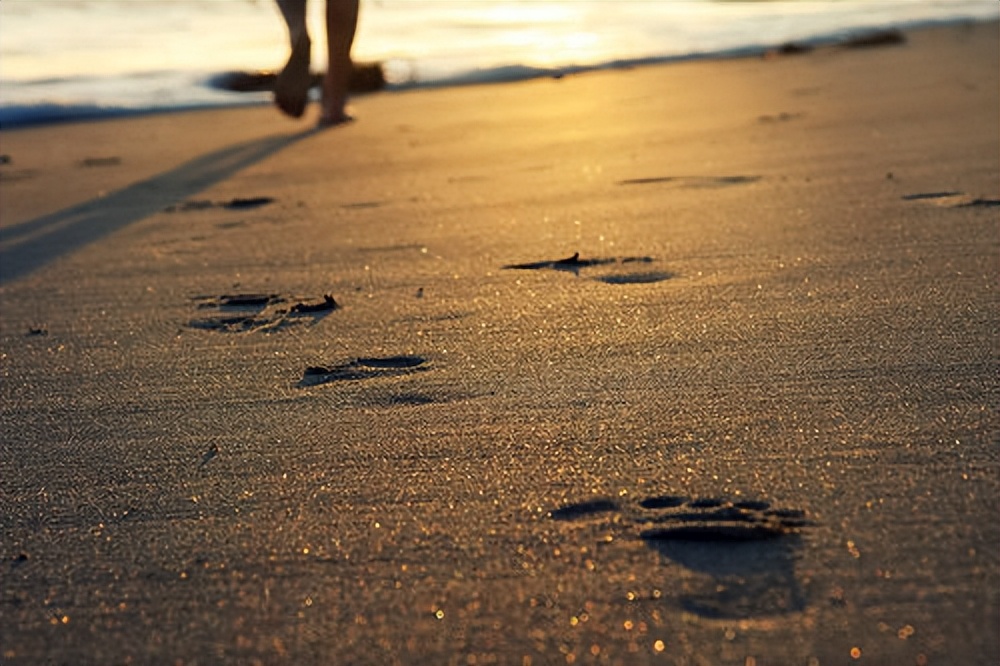 50万买精子生下五国混血儿,东北女生花50万赴美试管婴儿