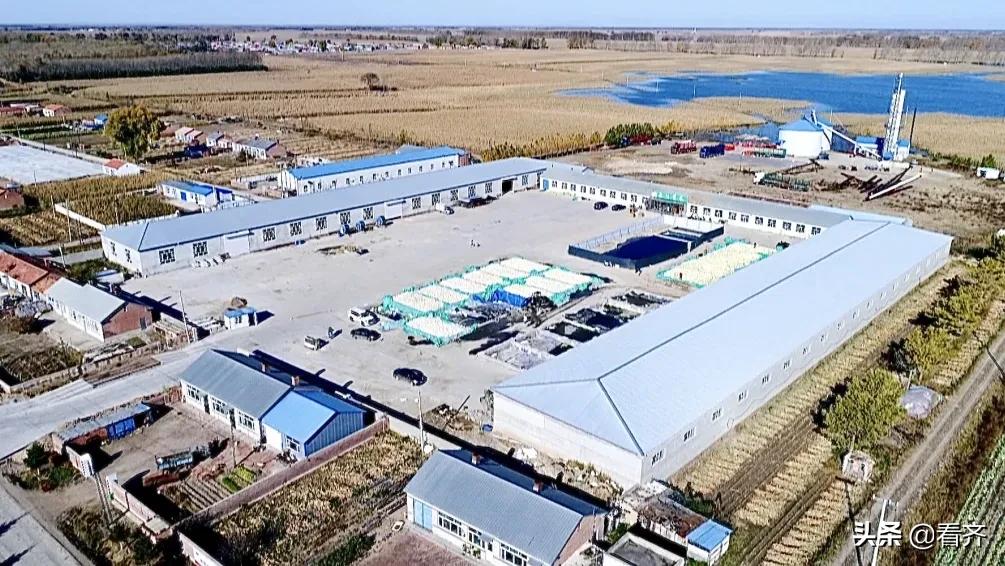 齐齐哈尔市梅里斯新闻,齐齐哈尔市梅里斯区最新视频