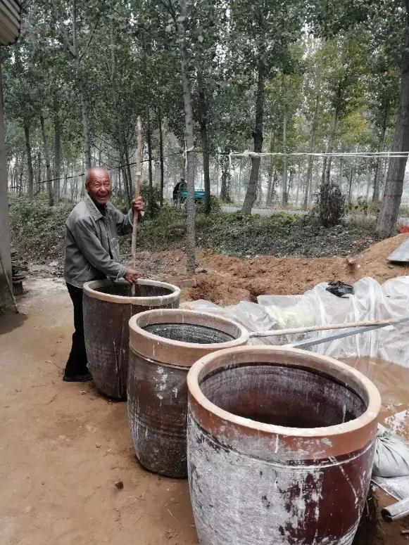 正宗的红薯粉条一般要多少钱一斤,真正的红薯粉条大概在多少钱一斤