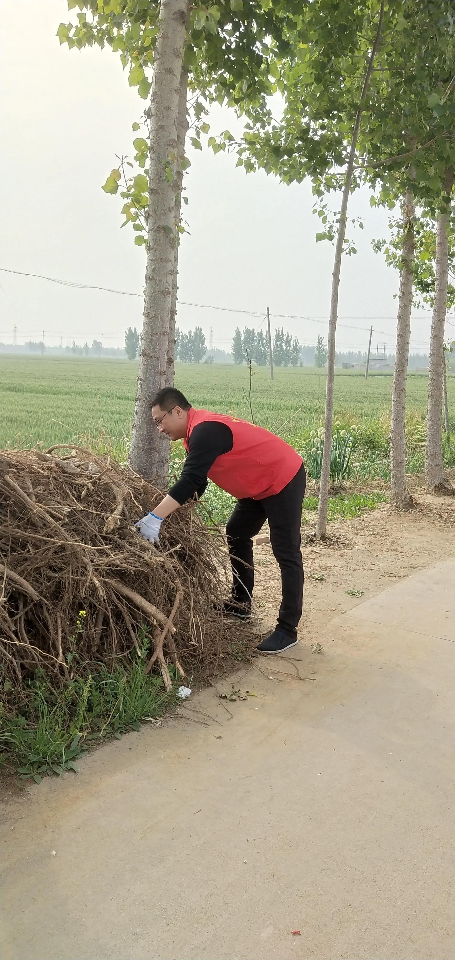 张磊村支书,村支书张磊