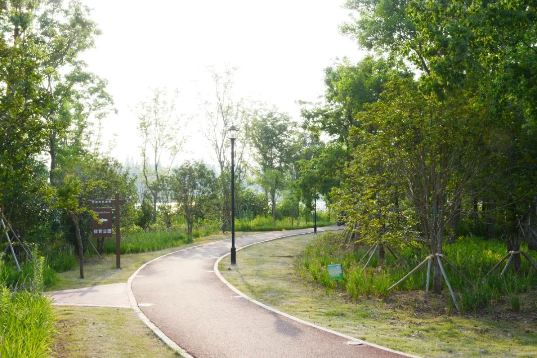 淮安特色健身步道，约起