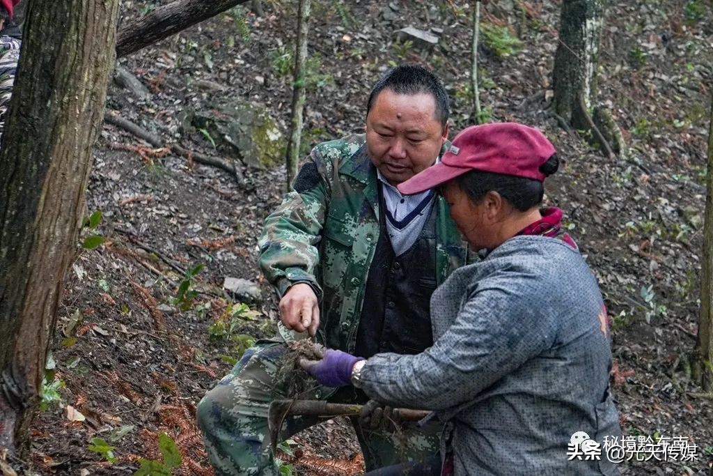 贵州春暖大地农事忙,春耕促生产春暖备耕忙