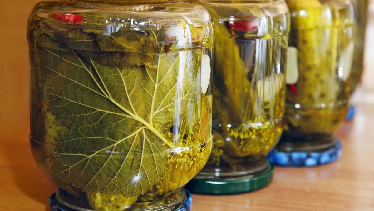 隐藏在农村的暴利行业，美国土耳其人疯狂求购，订单量暴涨4223%