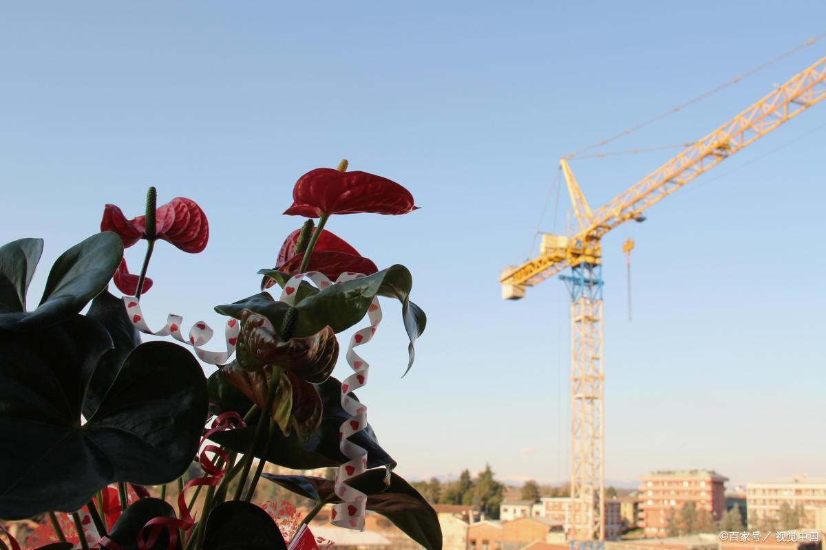 工地泥工招工平台,工地招工平台软件哪个最靠谱免费