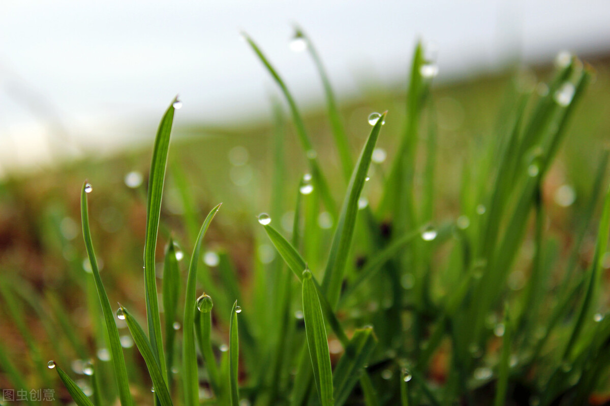 前列腺炎阴虚火旺型用药,前列腺炎清热祛湿温阳化气中药方
