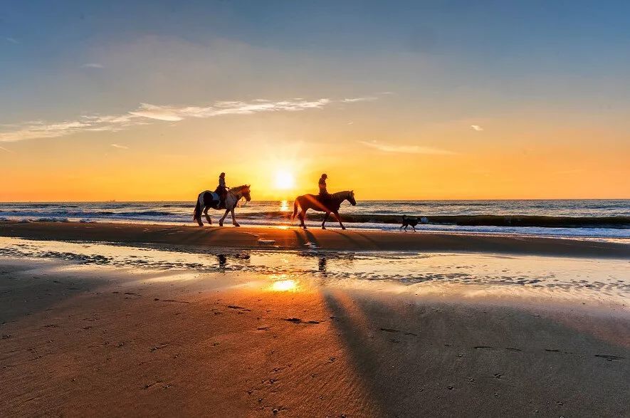 2023华杯赛夏令营,华誉外交官