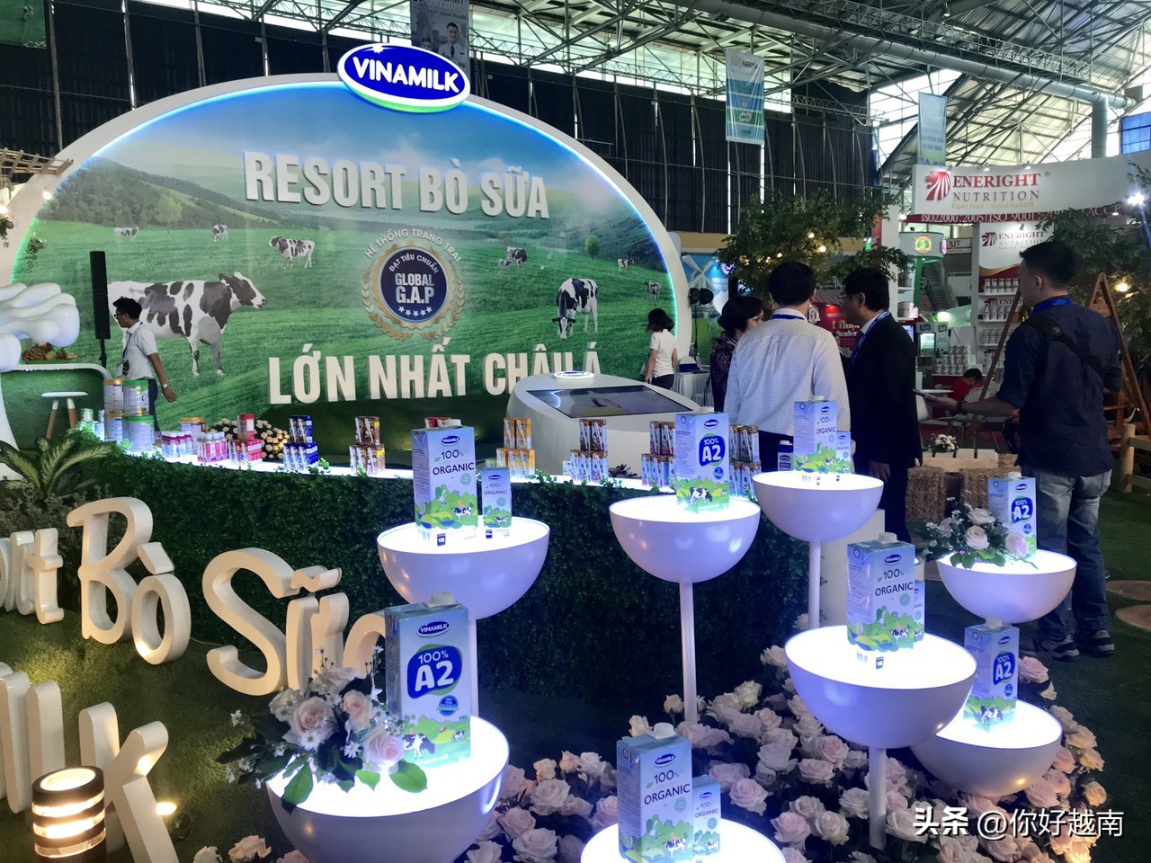 越南工业生产增长,越南2023年工业总产值