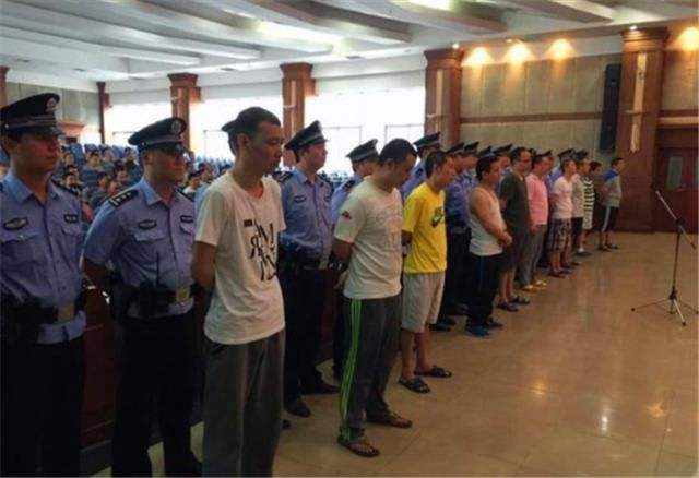 郑州皇家一号案处理结果,郑州皇家一号事件完整版