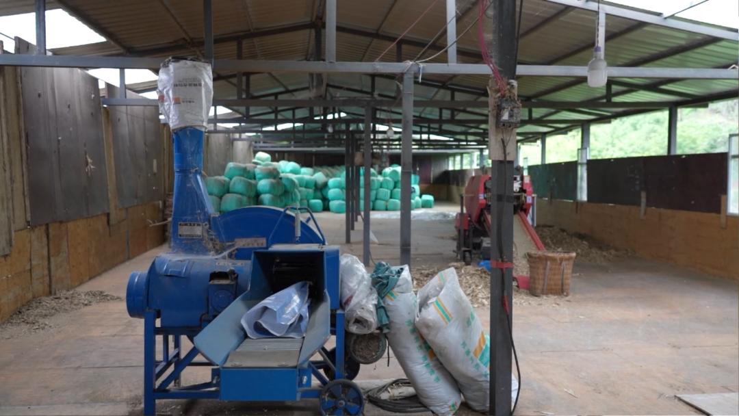 乡村振兴|李学荣:回乡创业,养牛过上“牛”日子