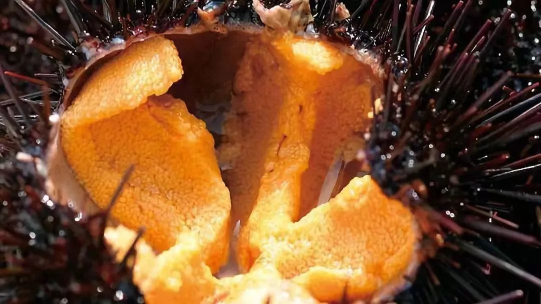 10道顶级名菜,十道顶级菜品