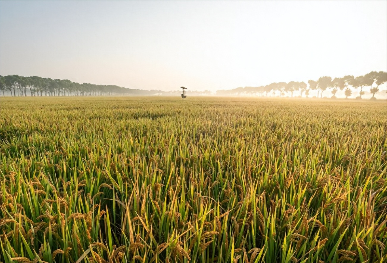 华西村吴仁宝对华西影响,华西吴仁宝逝世多少年