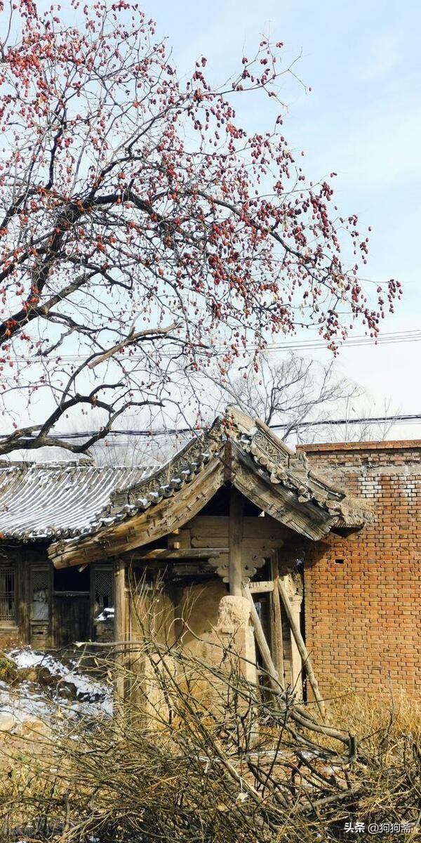 从底层开始小说,底层生活小说全集