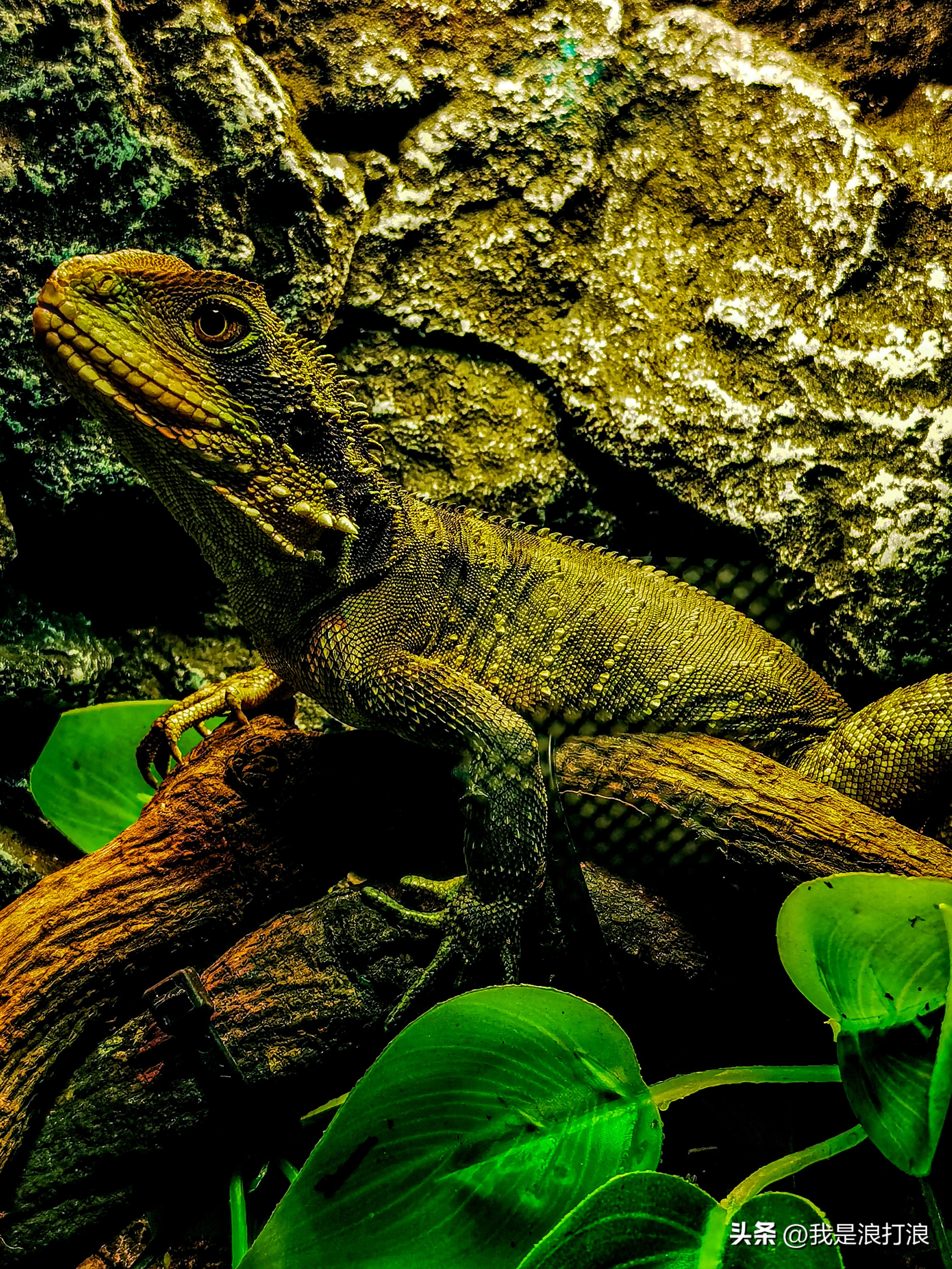 13小米pro实测,小米13pro最新官方消息