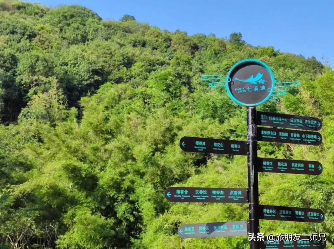 广州花都梯田油菜花,广州徒步赏油菜花路线