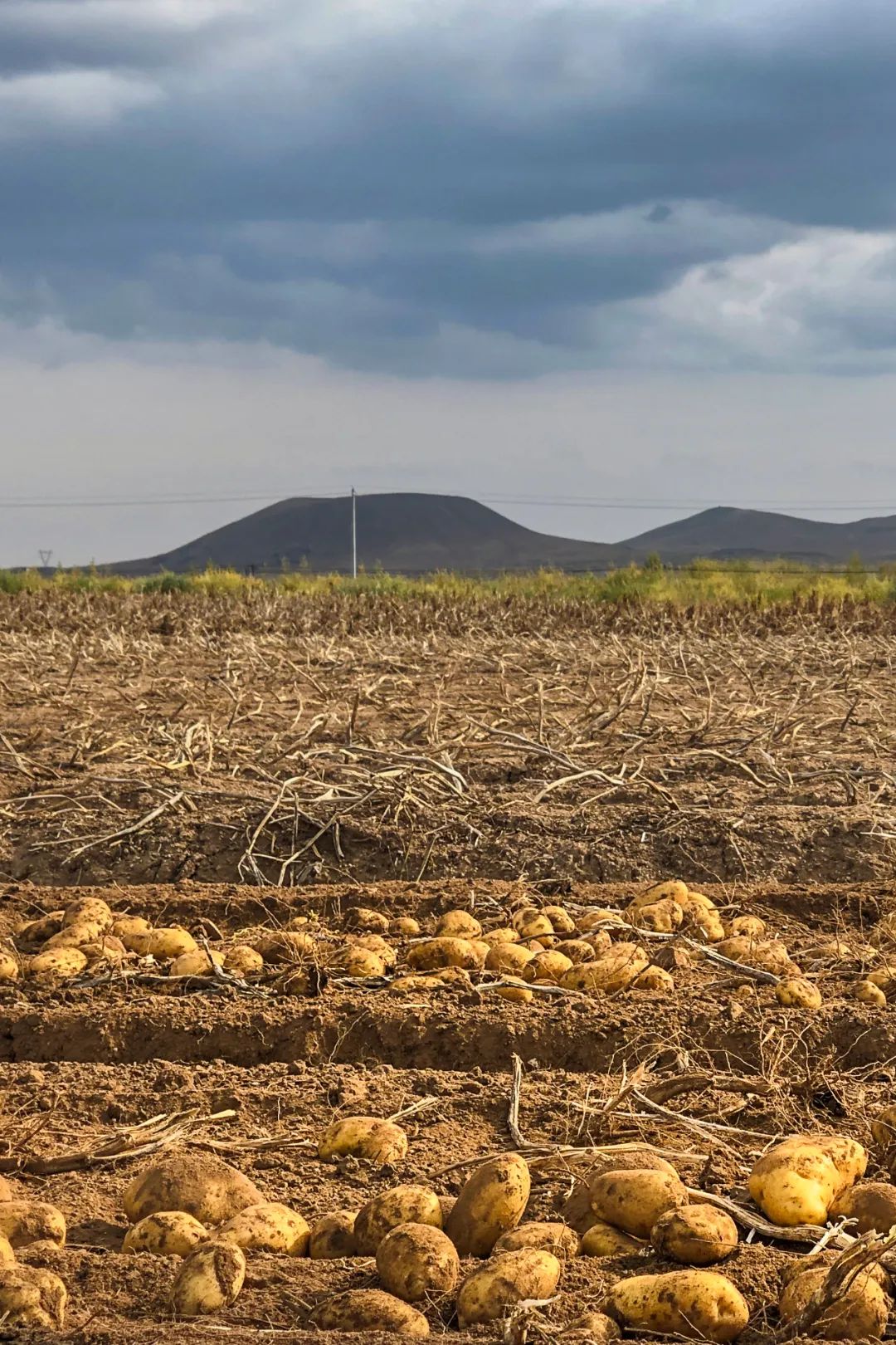 中国薯都为什么是乌兰察布,乌兰察布中国薯都的位置