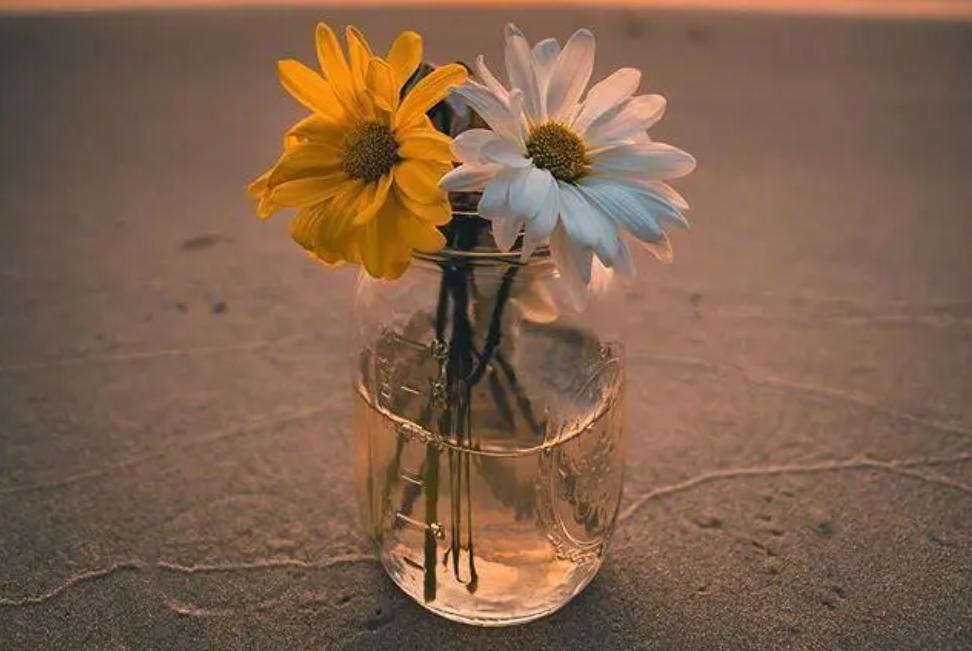 鑻ヨ浜虹敓澶劍铏戜笉濡ㄥ璇绘豹鏇剧ズ,濡傝浜虹敓澶嫙涓旇鍚庢劅