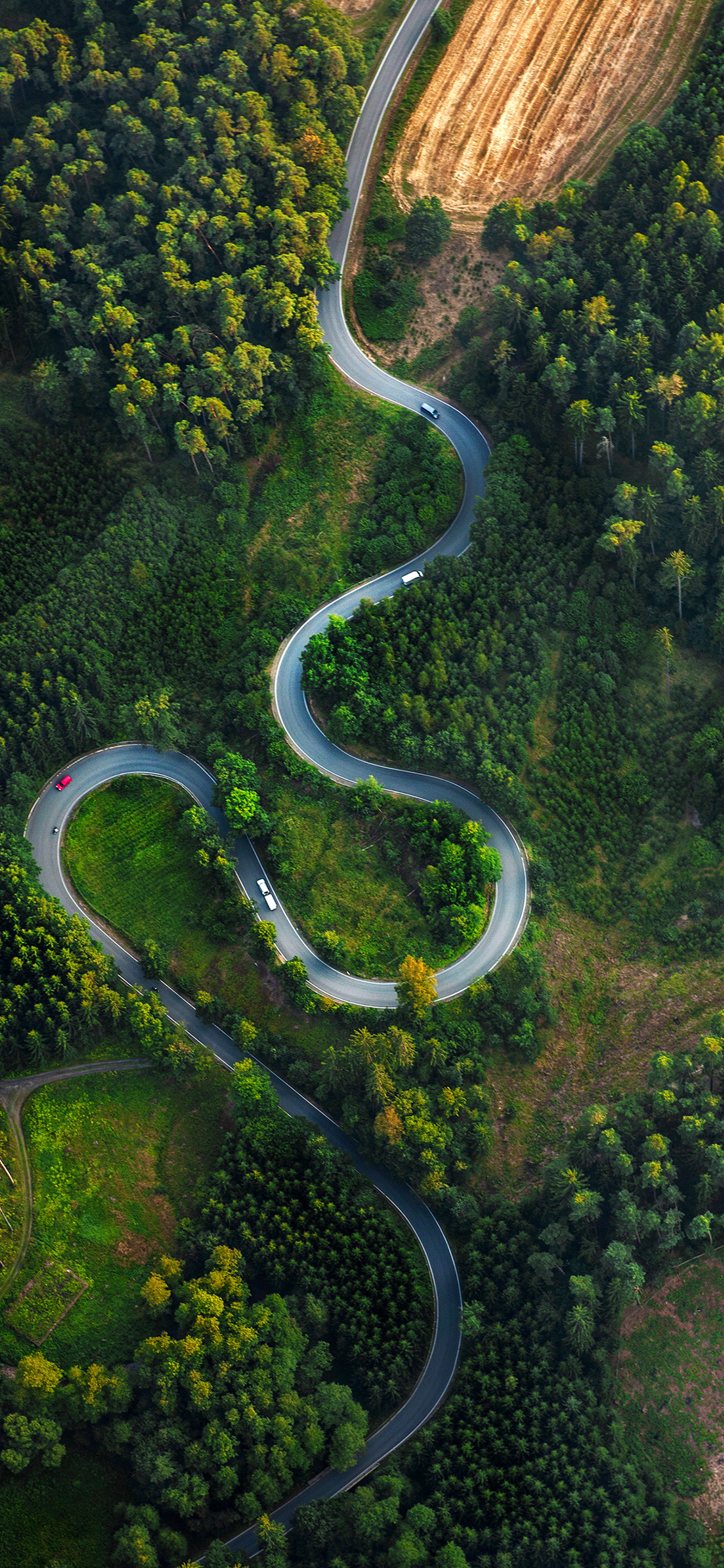 壁纸护眼好看的高清壁纸,华为壁纸绿色护眼图片大全高清