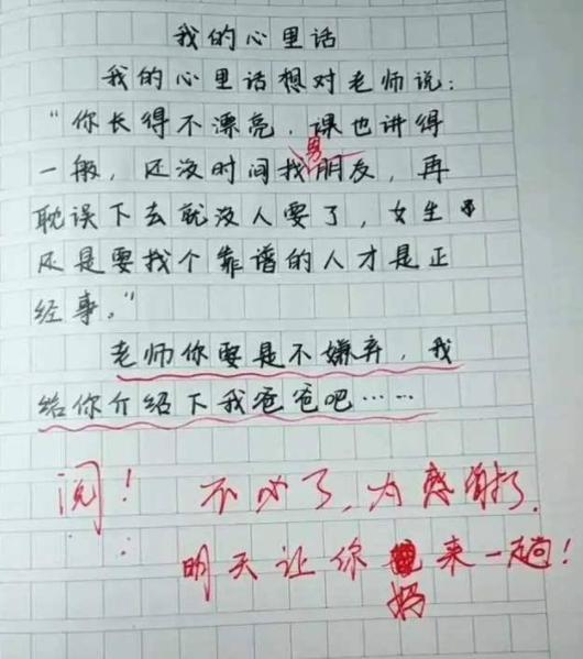 吐槽我的同学作文500字,吐槽同学的作文