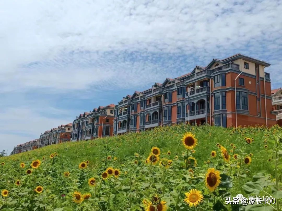 武汉最好高中推荐,武汉怎样选择合适的高中