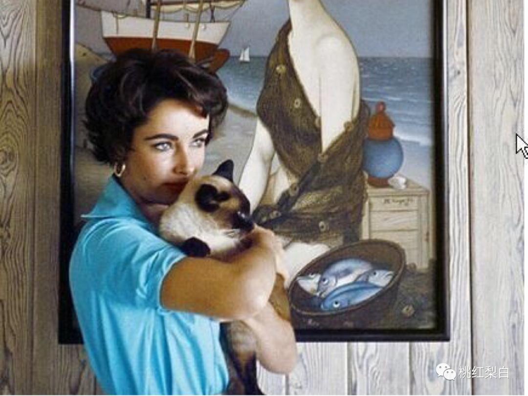 伊丽莎白泰勒去世后珠宝去哪里了,世界头号美女泰勒