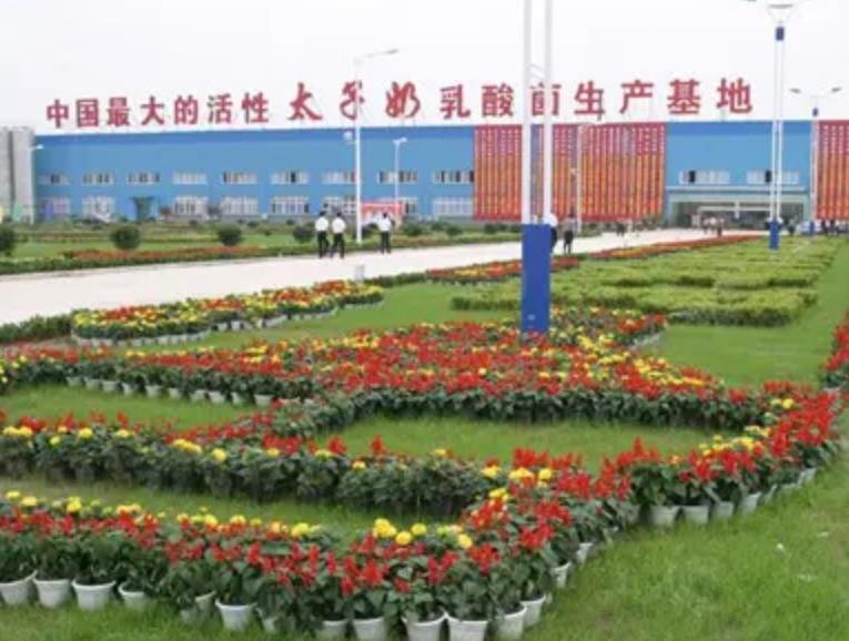 花8千多万成为标王，娶美女主持人回家，半年进账12亿却一败涂地