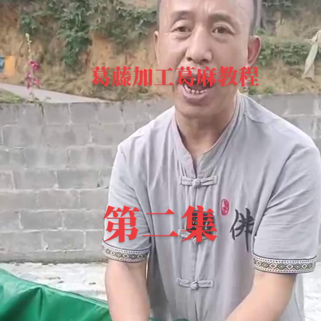 葛藤加工成零食,葛藤加工后做的东西视频