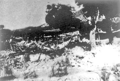 建国以来发生的最大的地震,建国以来有几次大地震