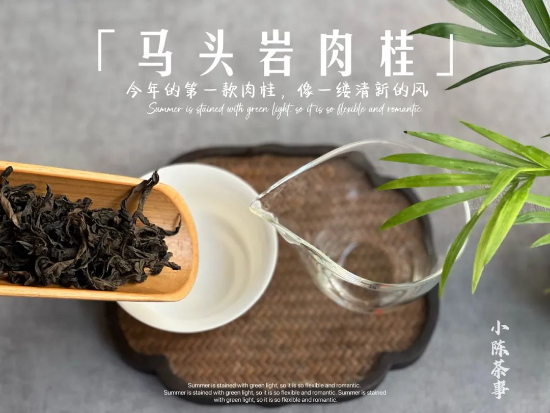 茶桌上必备物品有哪些,茶桌上各种物品介绍