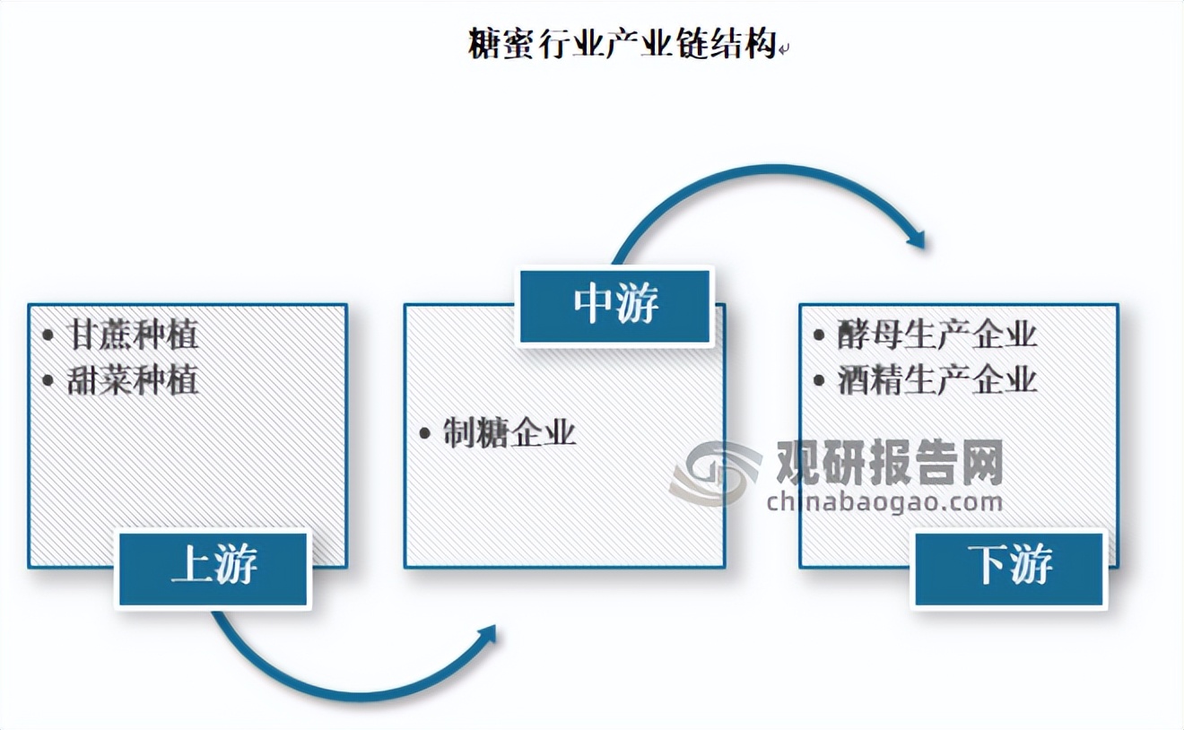 鐢樿敆绯栬湝琛屼笟鍓嶆櫙鍒嗘瀽鎶ュ憡,绯栬湝甯傚満杩愯鍓嶆櫙