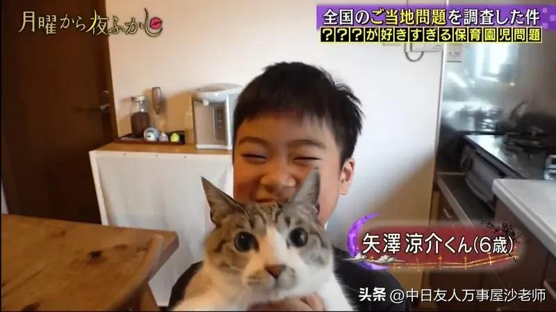 怀旧老款式风扇,怀旧的老牌子电风扇