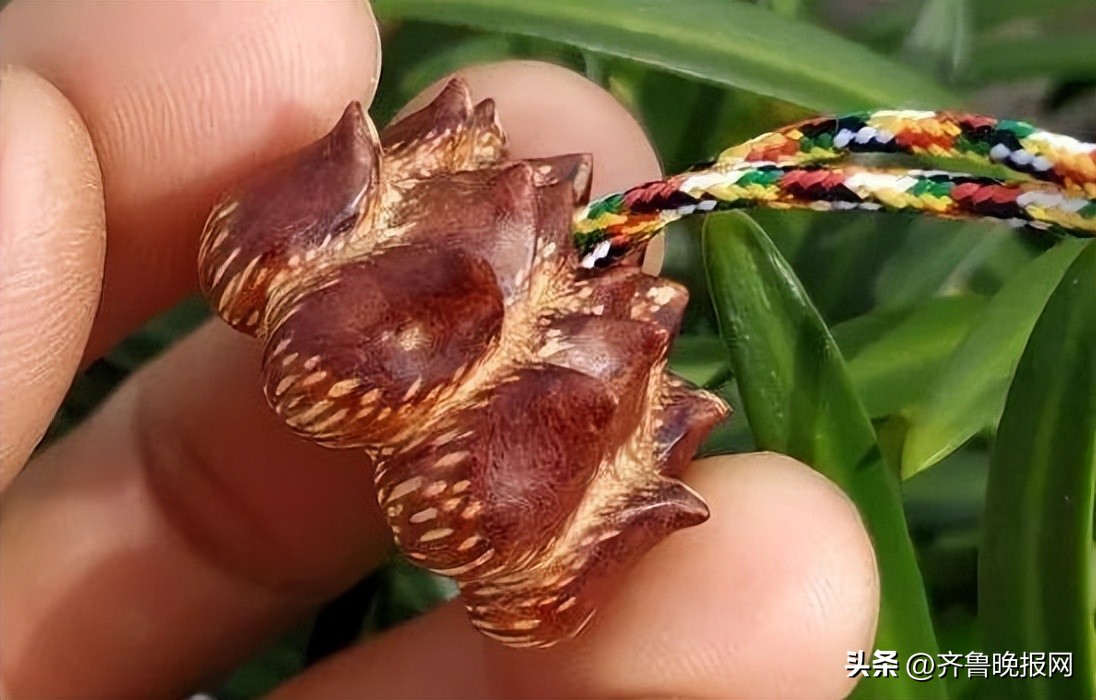 钻戒会贬值？老公笑了，不如买手串