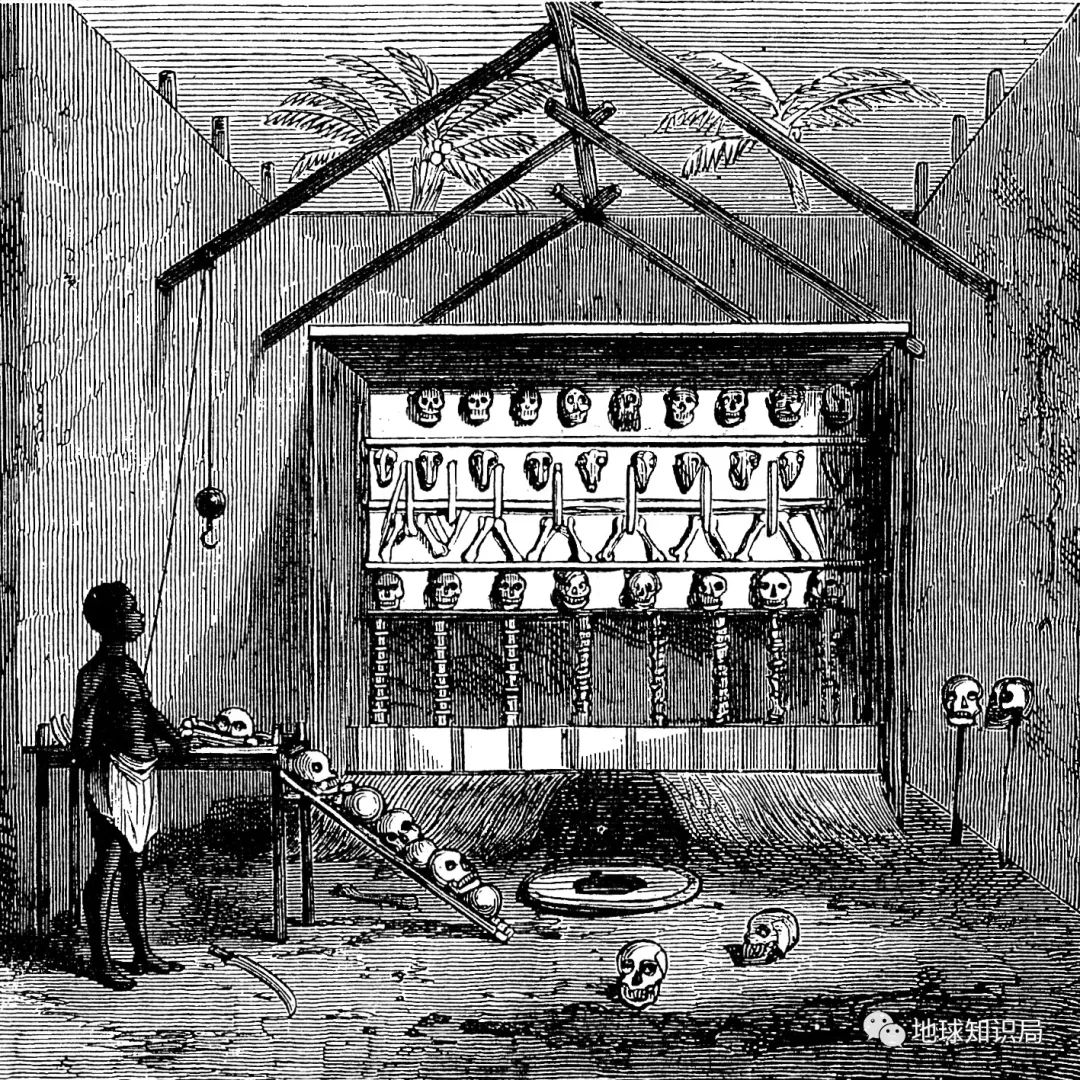 统御非洲，世界第三，尼日利亚电影为什么行！|地球知识局