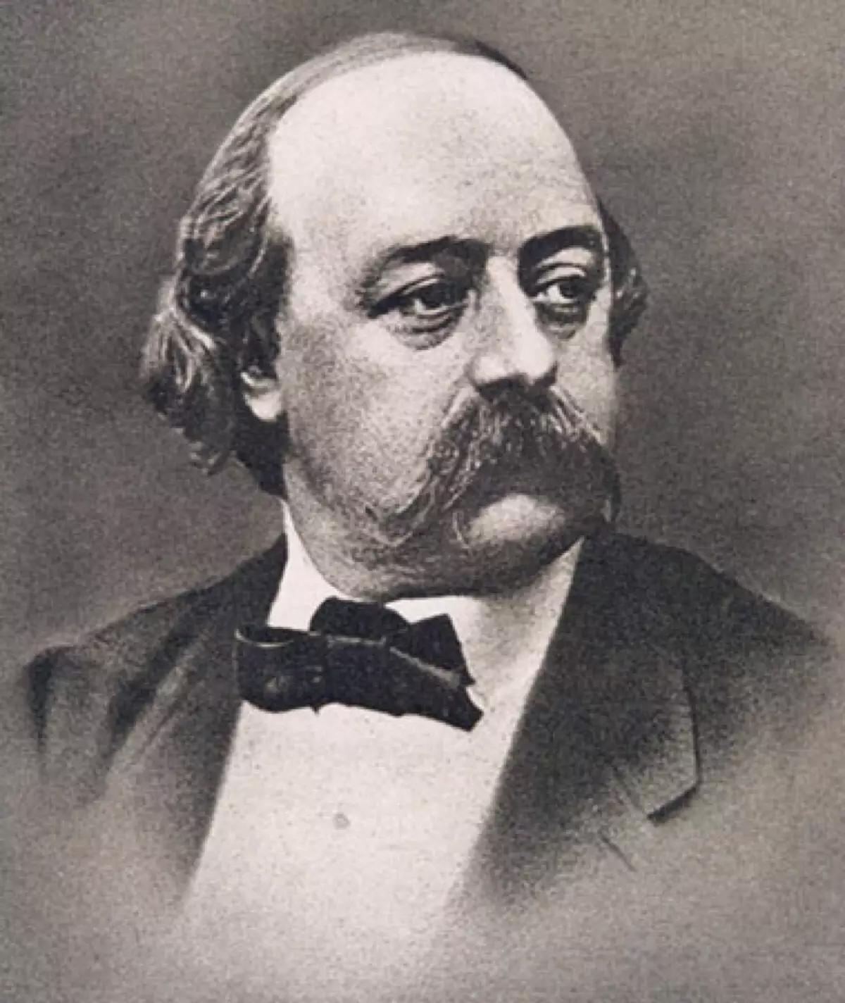 评价包法利夫人,包法利夫人细节