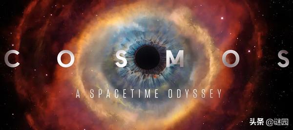 亲子互动纪录片大全,适合儿童看的自然界纪录片