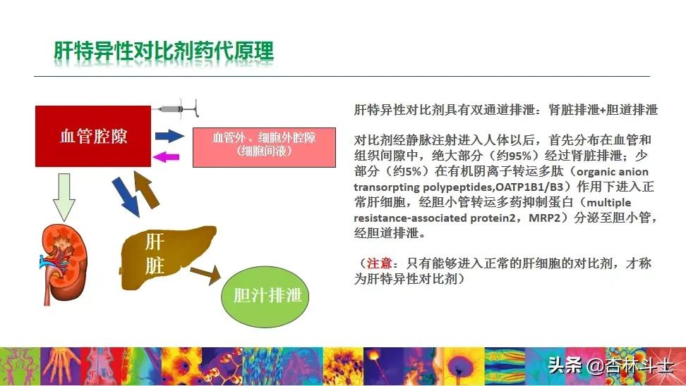 肝癌8公分肿瘤能活多久,肝癌细胞最大长多大
