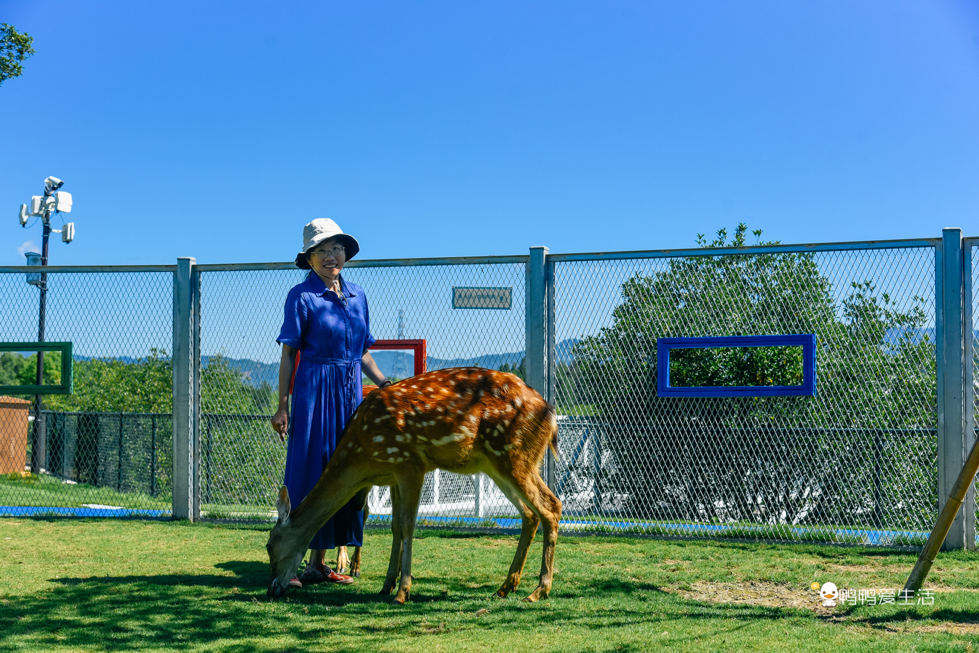 泰顺温泉酒店带私人泡池,温州瓯海泡温泉