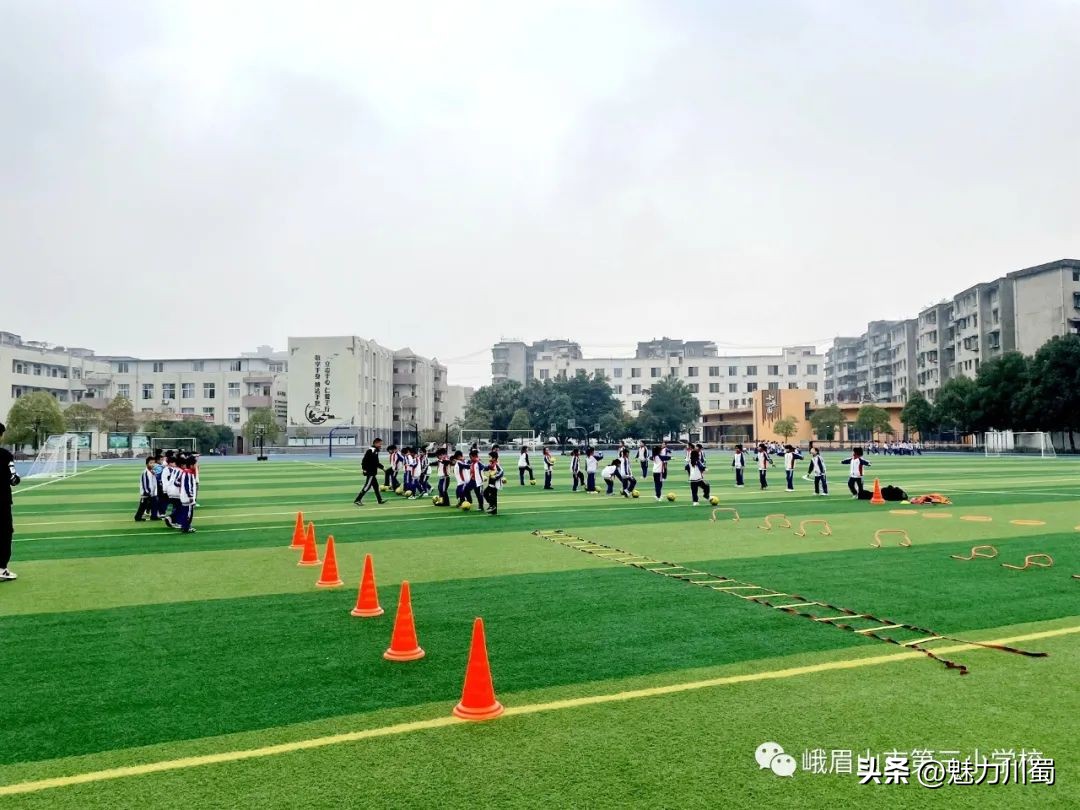 小学体育大单元教学实施效果,小学体育新课标大单元教学计划