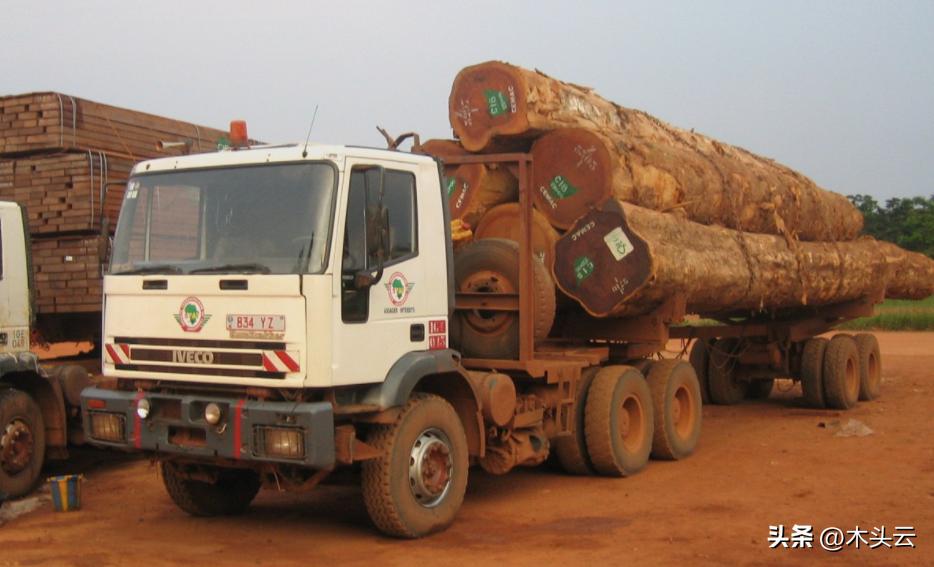 喀麦隆木材贸易,喀麦隆扩大原木出口限制