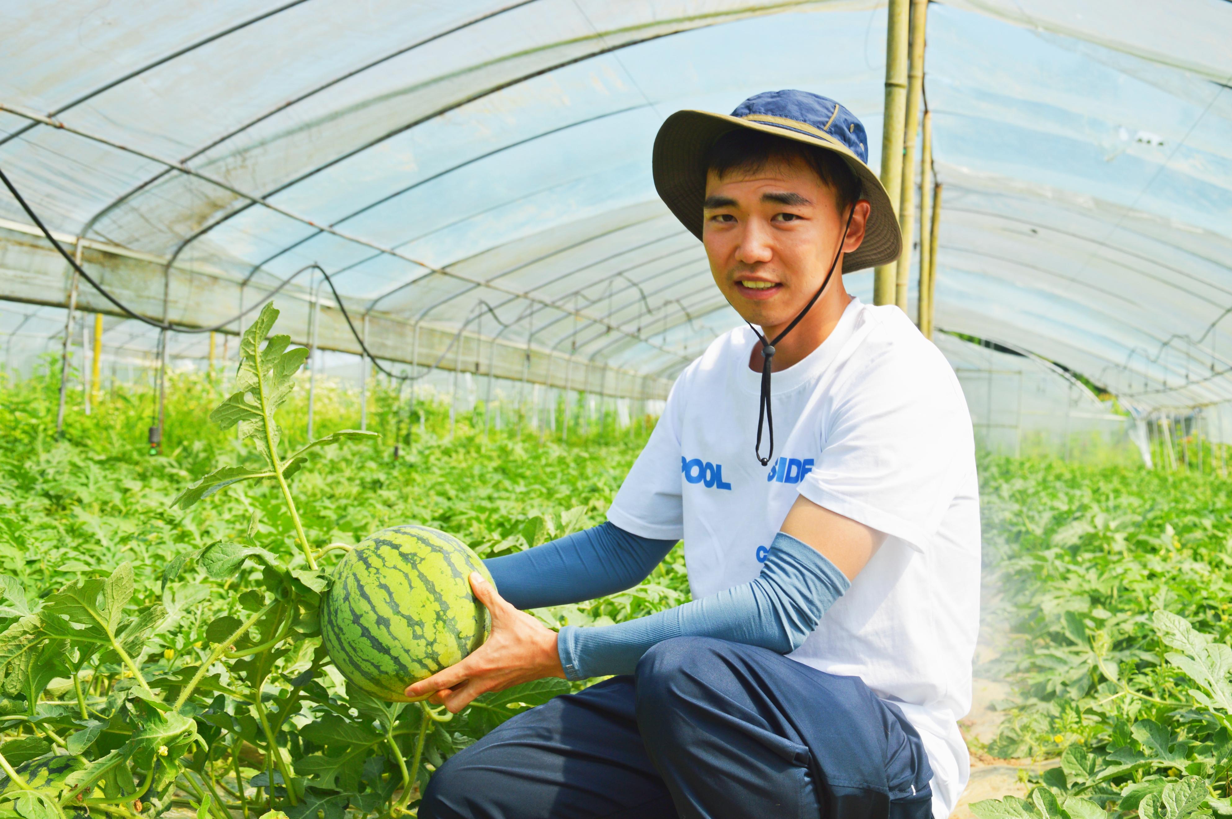 蹲点日记|90后大学生从种植“门外汉”到省级农村致富带头人