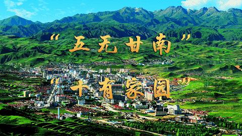 长篇报告文学,长篇报告文学乡村